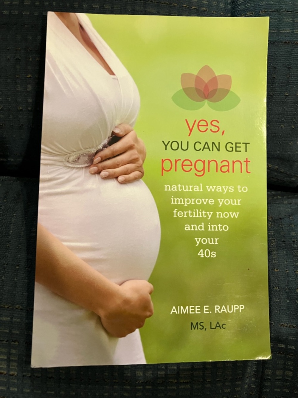 Yes, You Can Get Pregnant book by Aimee E. Raupp